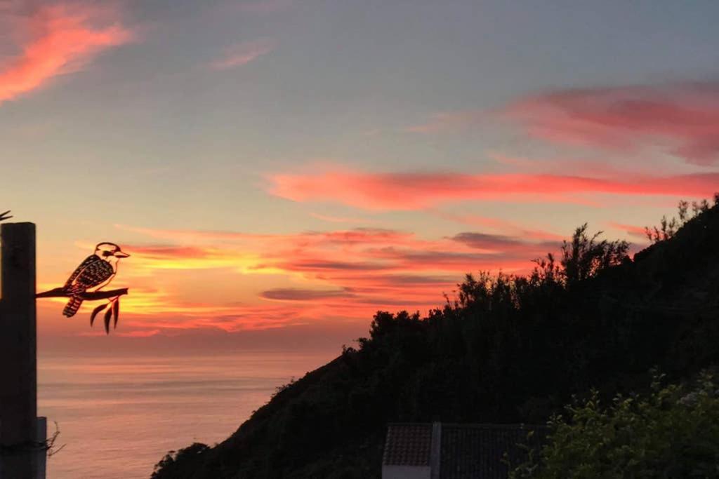 Sunset Nest Villa Ponta Delgada  Exterior photo
